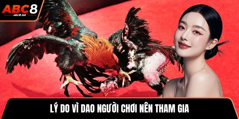 Lý do vì dao người chơi nên tham gia